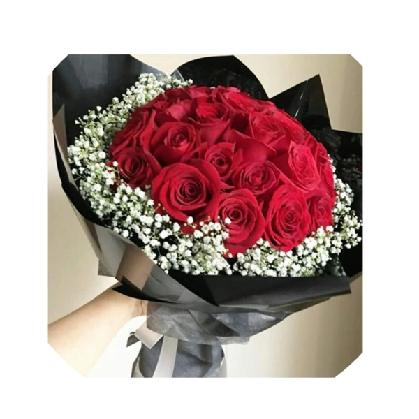Una dozzina di rose rosse con gypso e carta nera
